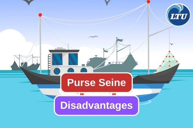 7 Disadvantages of Purse Seine to Catch Fish